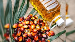 CRUDE PALM OIL