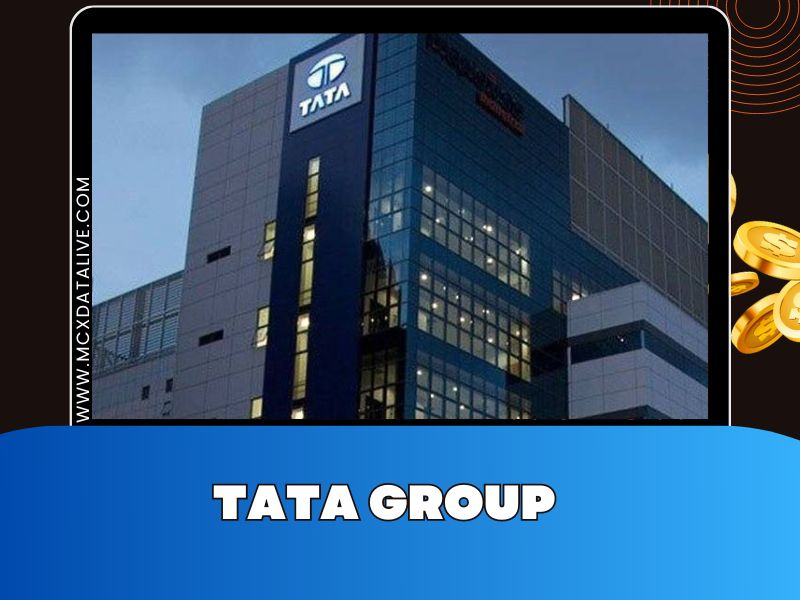 Tata Investment Stock Faces ₹20,000 Crore Market Capitalization Drop in Two Weeks